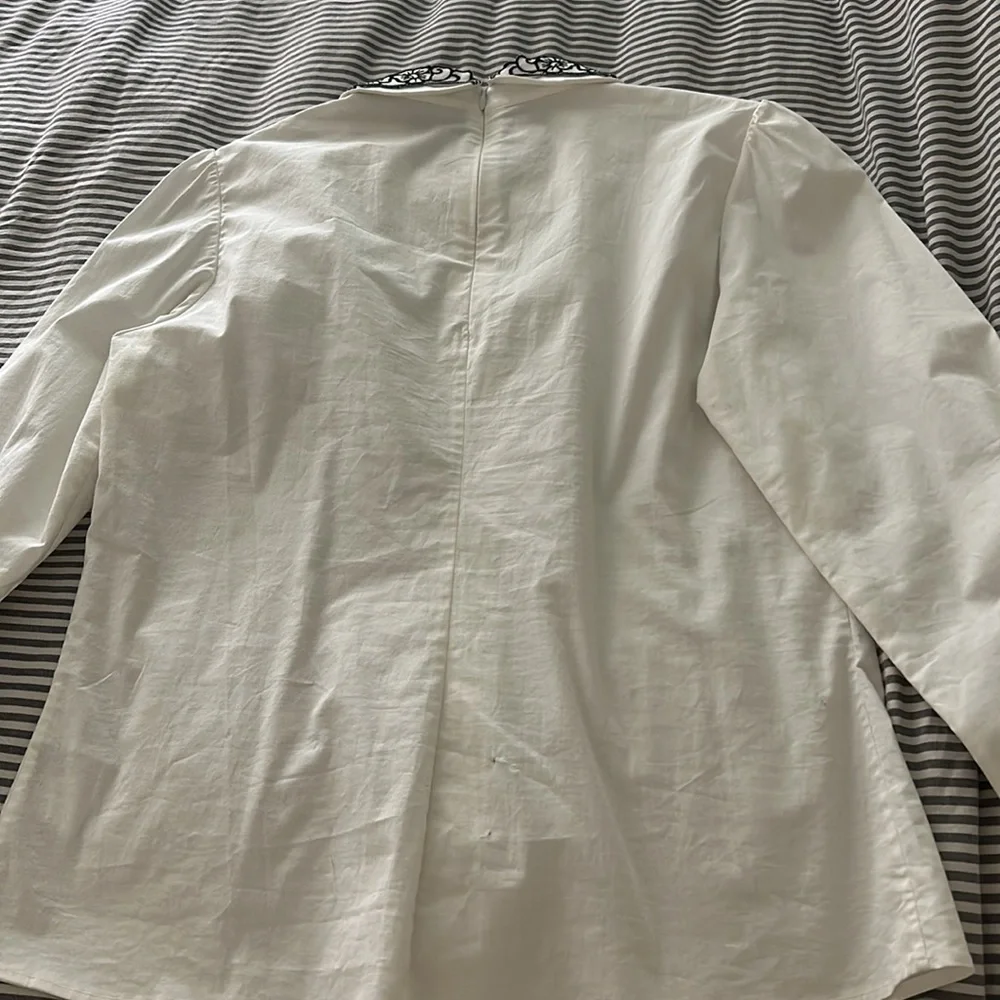 Collared Shirt - Picture 5 of 7
